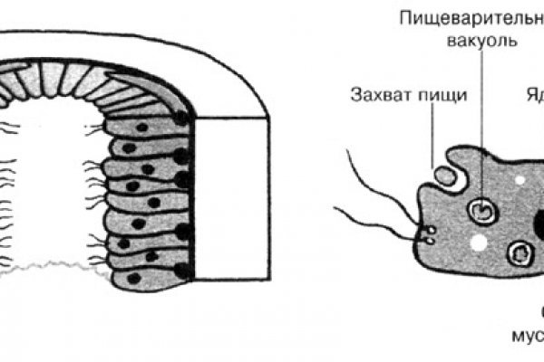 Новая ссылка на кракен