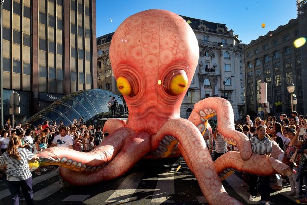 Kraken 24at