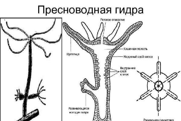 Кракен маркет супернет только через торг
