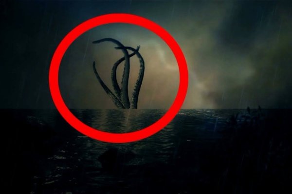 Kraken 13at