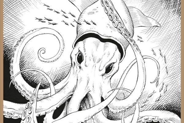 Kraken 13 at