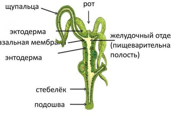Кракен сайт это