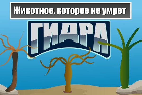 Kraken новая ссылка