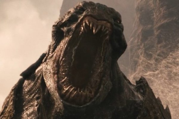 Hydra kraken