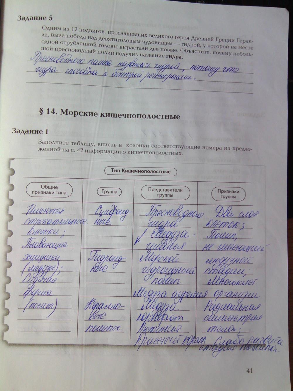 Сайт вместо гидры